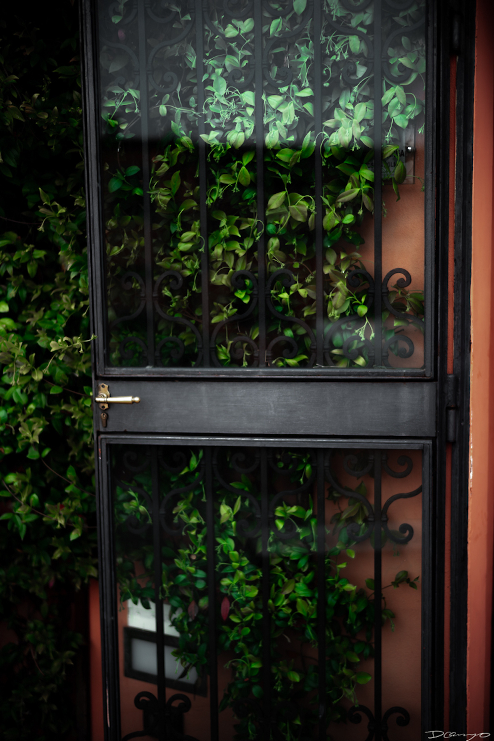 Photos from Venice, Florence, Tuscany, in Spring of 2022.
